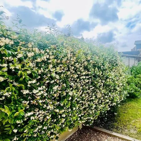 Holiday home Bubble Lh Urban Oasis Le Havre